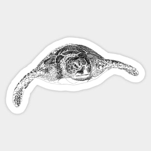 Turtle draw with scribble art style Sticker